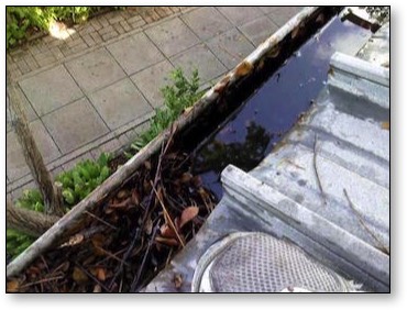 Gutter Cleaning Townsville